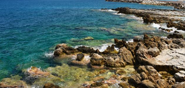 بحث عن خصائص البيئة الساحلية صورة مقال بحث عن خصائص البيئة الساحلية