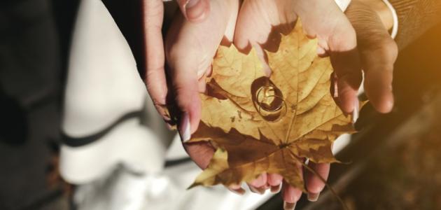 تعريف الزواج لغة وشرعاً صورة مقال تعريف الزواج لغة وشرعاً