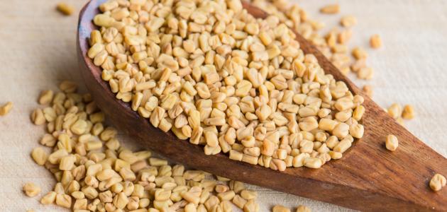 فوائد الحلبة لتطويل الشعر صورة مقال فوائد الحلبة لتطويل الشعر