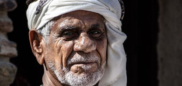 من أين جاء العرب صورة مقال من أين جاء العرب