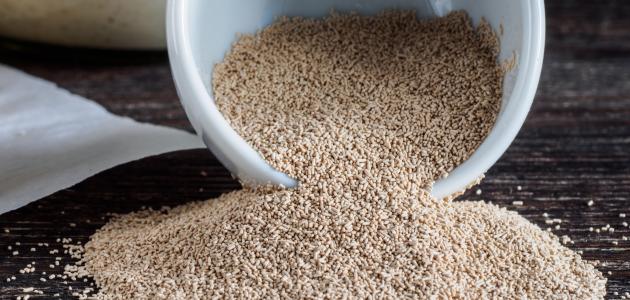 فوائد الخميرة والزبادي لتسمين الوجه صورة مقال فوائد الخميرة والزبادي لتسمين الوجه