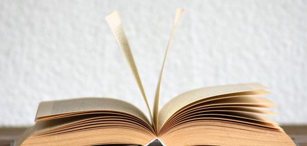 خصائص الاسم صورة مقال خصائص الاسم