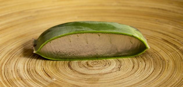 طرق العناية بالبشرة الدهنية طبيعياً صورة مقال طرق العناية بالبشرة الدهنية طبيعياً