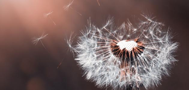 كلام له تأثير صورة مقال كلام له تأثير