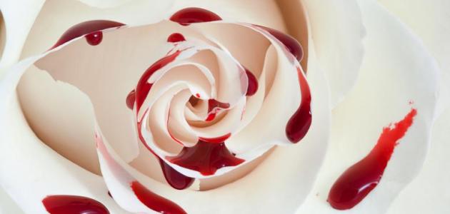 رسائل عن غدر الصحاب صورة مقال رسائل عن غدر الصحاب