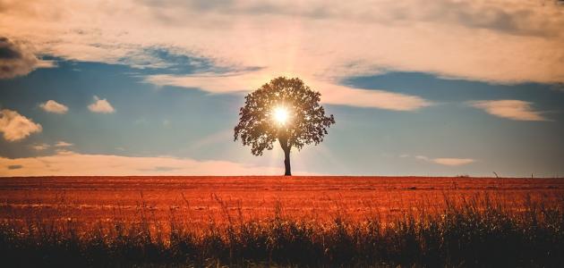 كلام له أثر في النفس صورة مقال كلام له أثر في النفس