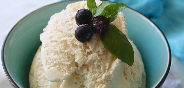 كيف تصنع مثلجات صورة مقال كيف تصنع مثلجات