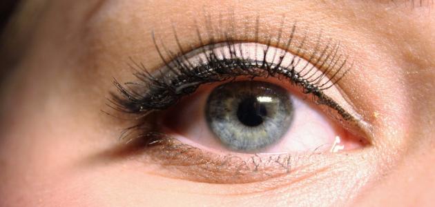 كيفية وضع الآيلاينر صورة مقال كيفية وضع الآيلاينر