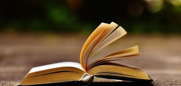 شرح النداء في اللغة العربية صورة مقال شرح النداء في اللغة العربية