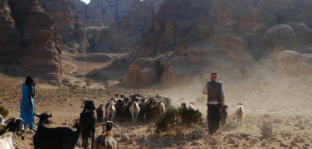 خصائص المجتمع البدوي صورة مقال خصائص المجتمع البدوي