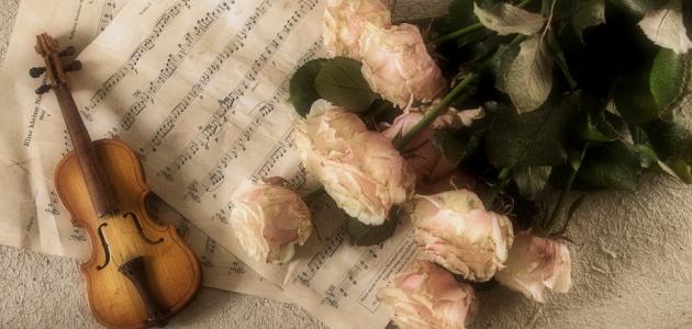 شعر عن الحب والشوق صورة مقال شعر عن الحب والشوق