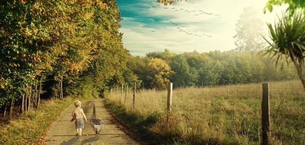 شعر عن الصداقة والوفاء صورة مقال شعر عن الصداقة والوفاء