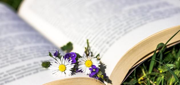 كلام يرق له القلب صورة مقال كلام يرق له القلب