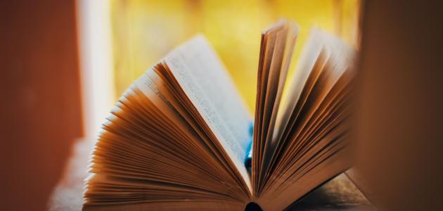 شرح قصيدة أراك عصي الدمع صورة مقال شرح قصيدة أراك عصي الدمع