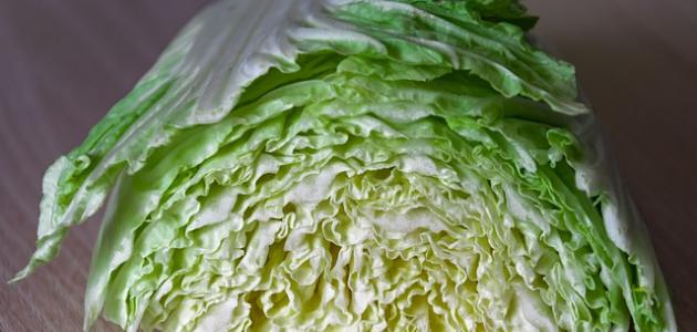 طريقة عمل مخلل الملفوف صورة مقال طريقة عمل مخلل الملفوف