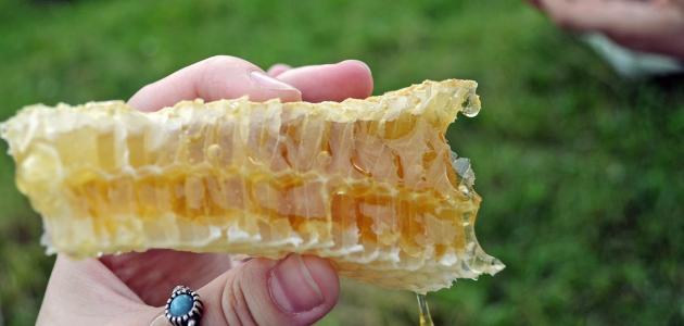 مكونات الشمع الخام صورة مقال مكونات الشمع الخام