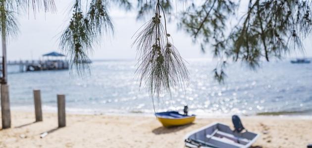 عبارات جميلة عن فصل الصيف صورة مقال عبارات جميلة عن فصل الصيف