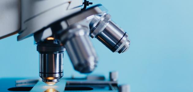 ما هي الكيمياء الحيوية صورة مقال ما هي الكيمياء الحيوية