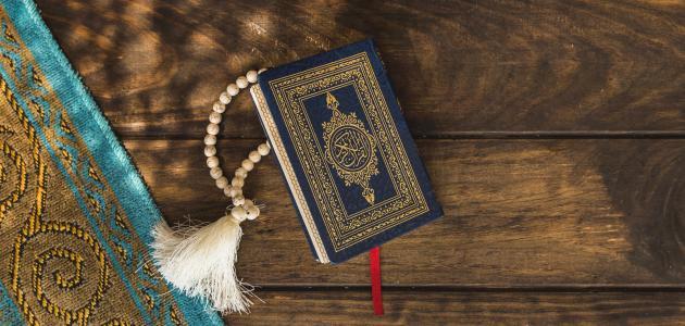 حديث الرسول عن وزر الإبل صورة مقال حديث الرسول عن وزر الإبل