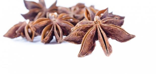 اليانسون للقضاء على القمل والصيبان صورة مقال اليانسون للقضاء على القمل والصيبان