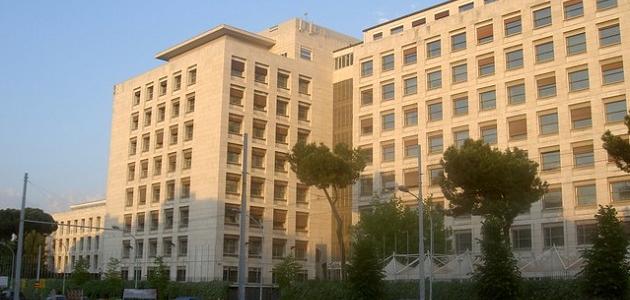 ما هي منظمة الفاو صورة مقال ما هي منظمة الفاو