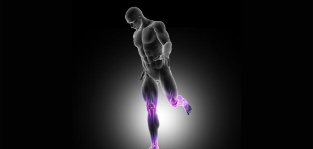 عدد عظام القدم صورة مقال عدد عظام القدم