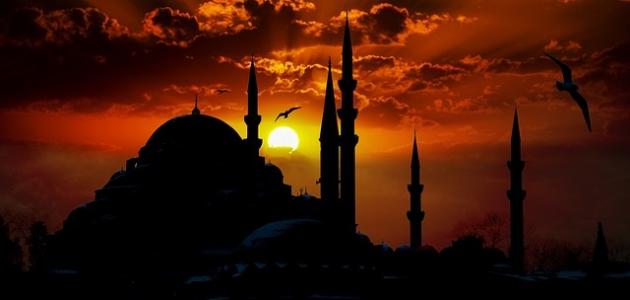 أسيد بن حضير صورة مقال أسيد بن حضير