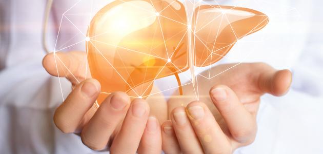 حكم التبرع بالأعضاء صورة مقال حكم التبرع بالأعضاء