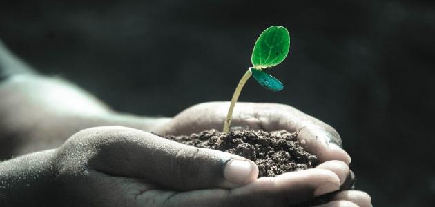 كيفية التصدق عن الميت صورة مقال كيفية التصدق عن الميت