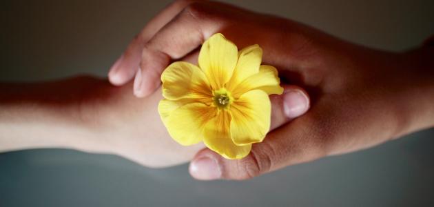 احترام الاخرين صورة مقال احترام الاخرين