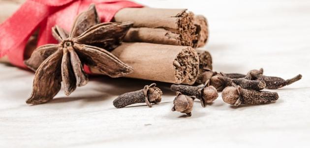 أضرار القرنفل للشعر صورة مقال أضرار القرنفل للشعر