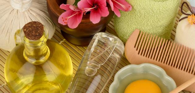 أفضل حمامات كريم للشعر الجاف والمتقصف صورة مقال أفضل حمامات كريم للشعر الجاف والمتقصف