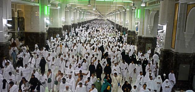 أول من سعى بين الصفا والمروة صورة مقال أول من سعى بين الصفا والمروة