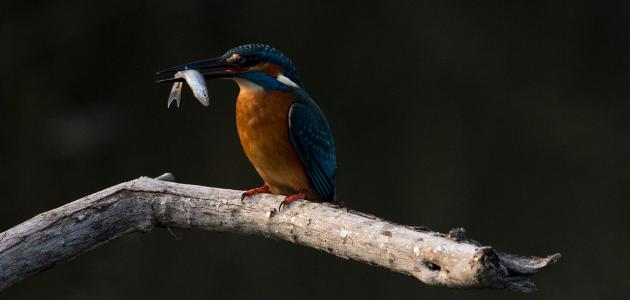 اسم الله للرزق صورة مقال اسم الله للرزق