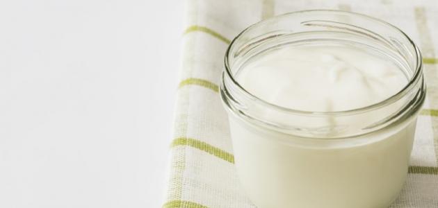 أفضل طريقة لعمل اللبن الرايب صورة مقال أفضل طريقة لعمل اللبن الرايب