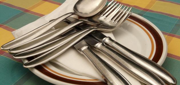 حكم أكل الحشرات صورة مقال حكم أكل الحشرات