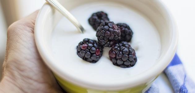 أفضل طريقة لعمل الزبادي فى المنزل صورة مقال أفضل طريقة لعمل الزبادي فى المنزل