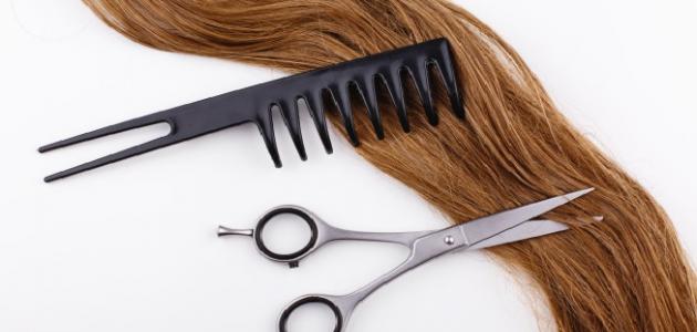 أفضل علاج للشعر التالف صورة مقال أفضل علاج للشعر التالف