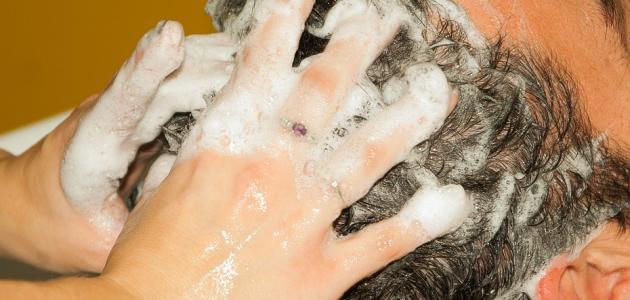 أفضل شامبو وبلسم للشعر الجاف والمتقصف صورة مقال أفضل شامبو وبلسم للشعر الجاف والمتقصف