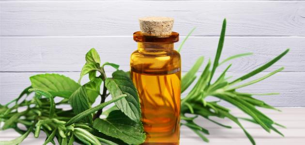 التخلص من الصيبان صورة مقال التخلص من الصيبان