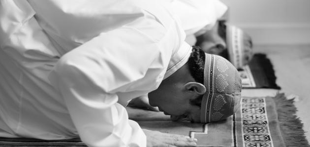 الفرق بين سجود الشكر وسجود التلاوة صورة مقال الفرق بين سجود الشكر وسجود التلاوة