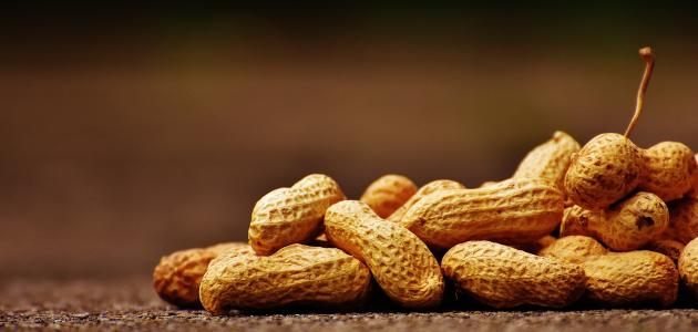 أين توجد الدهون في الطعام صورة مقال أين توجد الدهون في الطعام