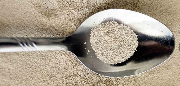 التخلص من الناموس بالخميرة صورة مقال التخلص من الناموس بالخميرة