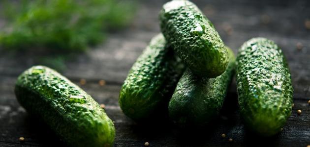 أطعمة تقلل من حموضة المعدة صورة مقال أطعمة تقلل من حموضة المعدة