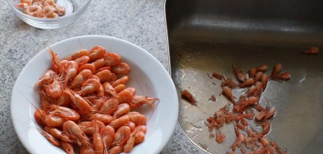 أسهل طريقة لتقشير الجمبري الصغير صورة مقال أسهل طريقة لتقشير الجمبري الصغير