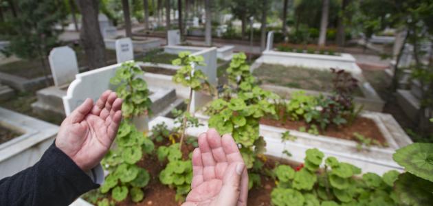 كيف يكون الدعاء للميت صورة مقال كيف يكون الدعاء للميت