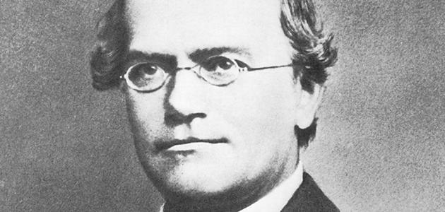 العالم غريغور مندل صورة مقال العالم غريغور مندل