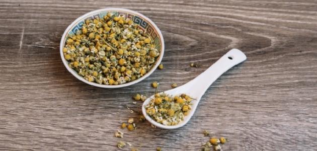 أضرار البابونج للرضع صورة مقال أضرار البابونج للرضع