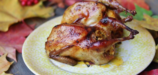 أكلات مصرية مشهورة صورة مقال أكلات مصرية مشهورة