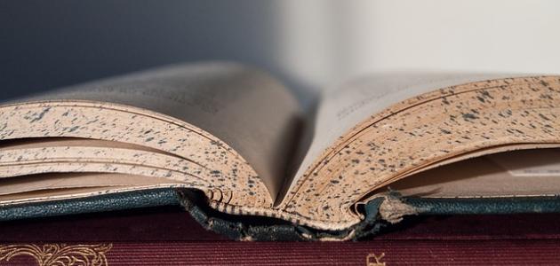 ابن بري صورة مقال ابن بري